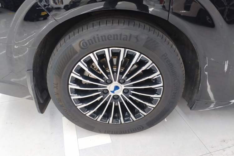Used Denza D9 2024 DM-i 980 Four-Wheel Drive Prestige Model Exterior 5