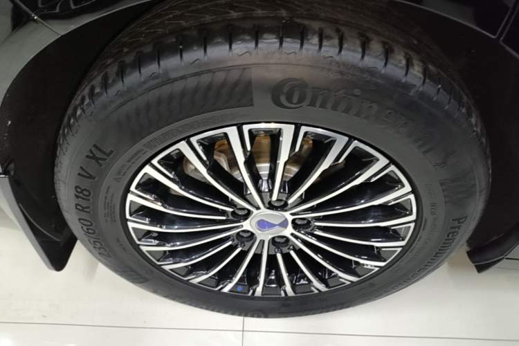 Used Denza D9 2024 DM-i 980 Four-Wheel Drive Prestige Model Exterior 5