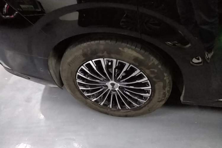 Used Denza D9 2024 DM-i 980 Four-Wheel Drive Flagship Model Exterior 5