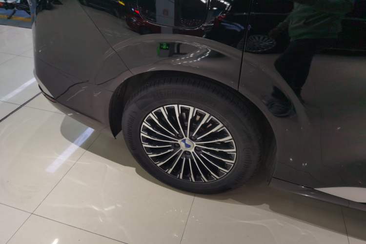 Used Denza D9 2024 DM-i 970 Luxury Model Exterior 8