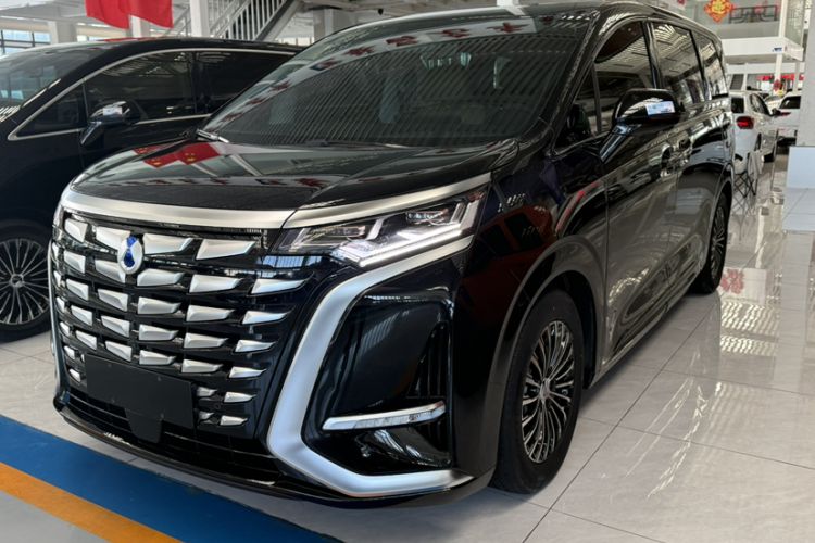 Denza D9 2024 DM-i 1050 Luxury Model