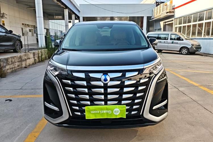 Used Denza D9 2024 DM-i 980 Four-Wheel Drive Prestige Model Front