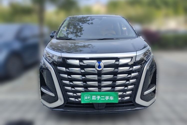 Used Denza D9 2024 DM-i 980 Four-Wheel Drive Prestige Model Front