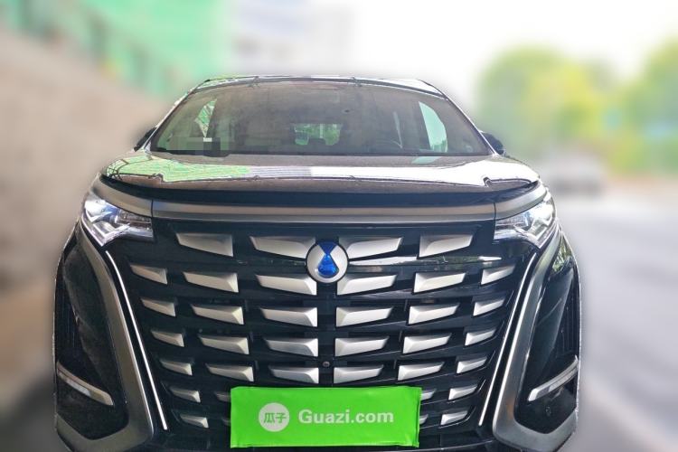Used Denza D9 2024 DM-i 980 Four-Wheel Drive Flagship Model Front