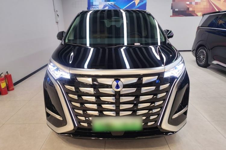 Used Denza D9 2024 DM-i 980 Four-Wheel Drive Prestige Model Front