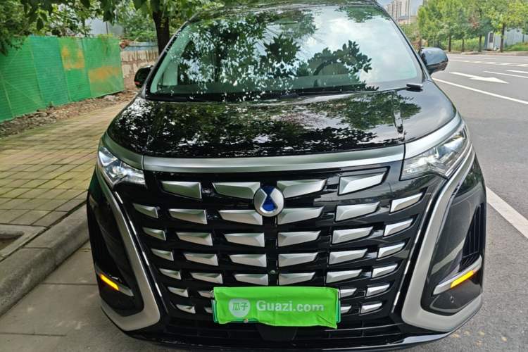 Used Denza D9 2024 DM-i 980 Four-Wheel Drive Flagship Model Front