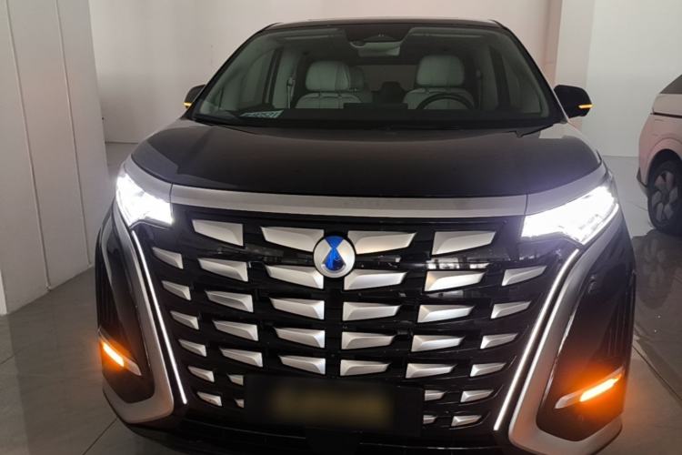 Used Denza D9 2024 DM-i 980 Four-Wheel Drive Prestige Model Front