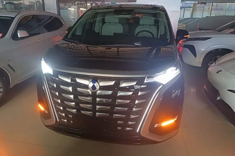 Used Denza D9 2024 DM-i 980 Four-Wheel Drive Prestige Model Front