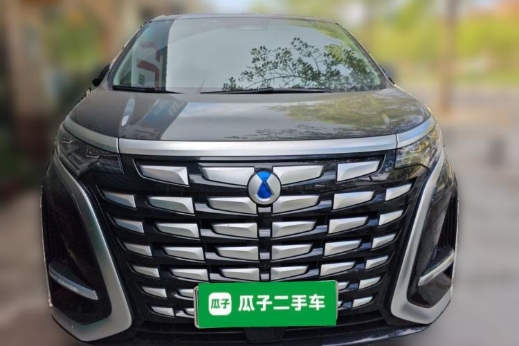 Used Denza D9 2024 DM-i 980 Four-Wheel Drive Prestige Model Front