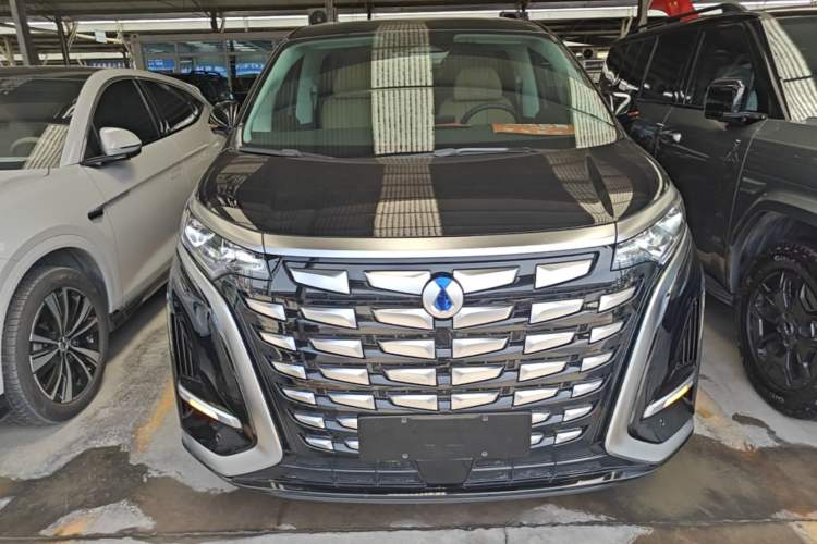 Used Denza D9 2024 DM-i 1050 Luxury Model Front