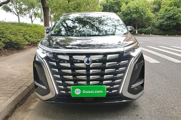Used Denza D9 2024 DM-i 980 Four-Wheel Drive Prestige Model Front
