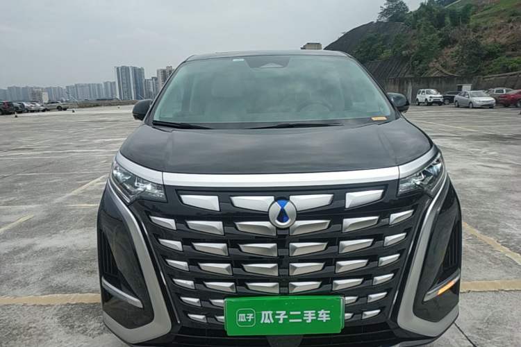 Used Denza D9 2024 DM-i 980 Four-Wheel Drive Flagship Model Front