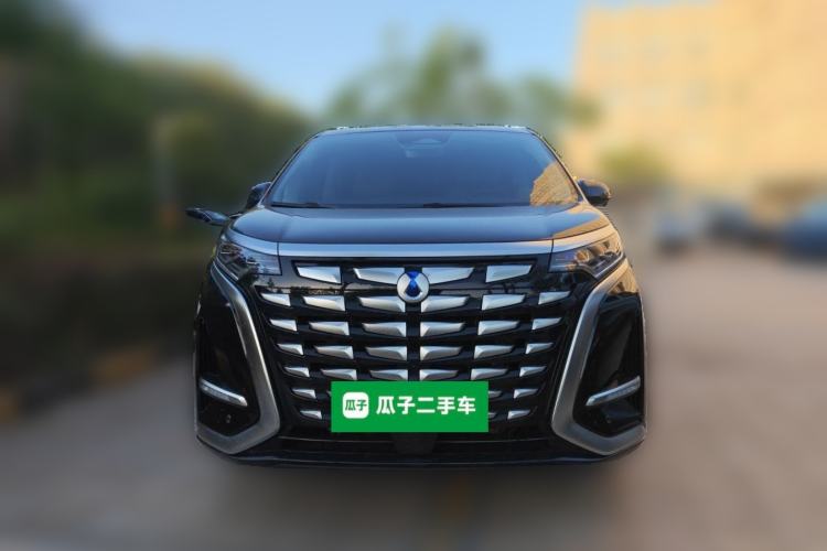 Used Denza D9 2024 DM-i 980 Four-Wheel Drive Prestige Model Front