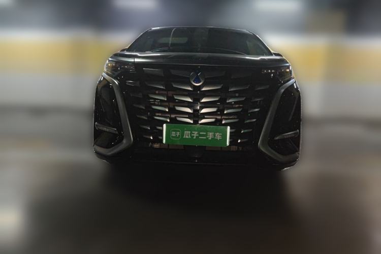 Used Denza D9 2024 DM-i 980 Four-Wheel Drive Prestige Model Front