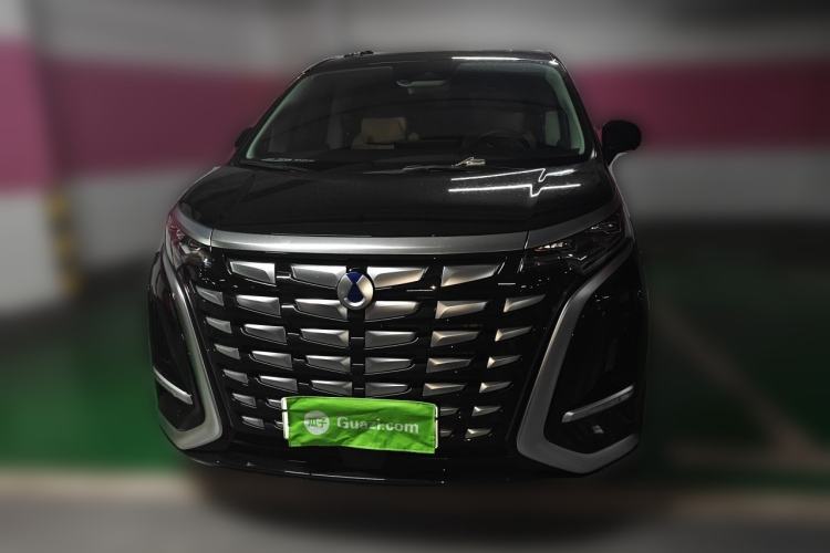 Used Denza D9 2024 DM-i 980 Four-Wheel Drive Prestige Model Front