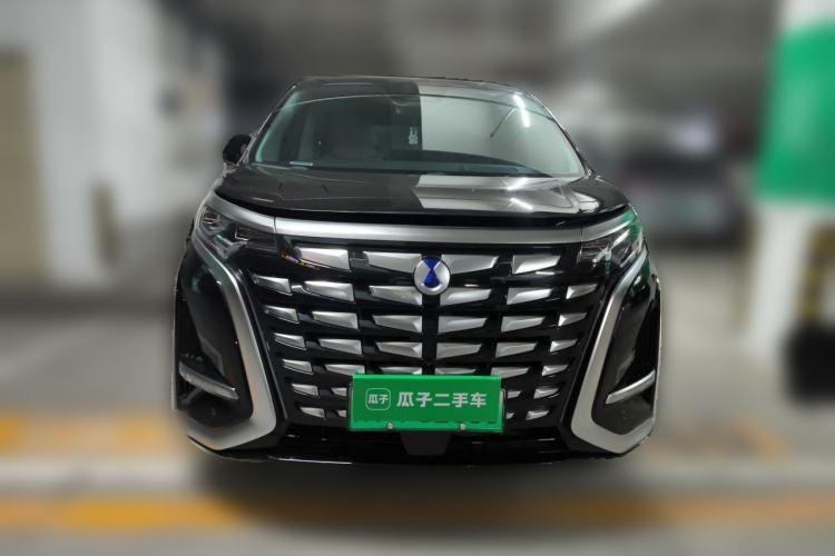 Used Denza D9 2024 DM-i 980 Four-Wheel Drive Prestige Model Front