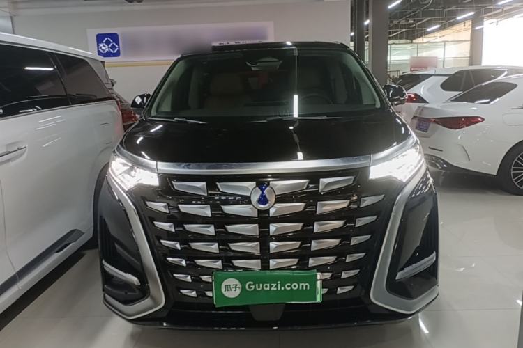 Used Denza D9 2024 DM-i 980 Four-Wheel Drive Prestige Model Front