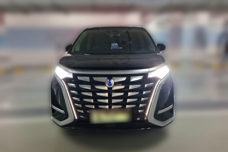 Used Denza D9 2024 DM-i 980 Four-Wheel Drive Flagship Model Front