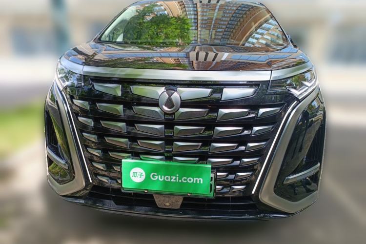 Used Denza D9 2024 DM-i 980 Four-Wheel Drive Prestige Model Front