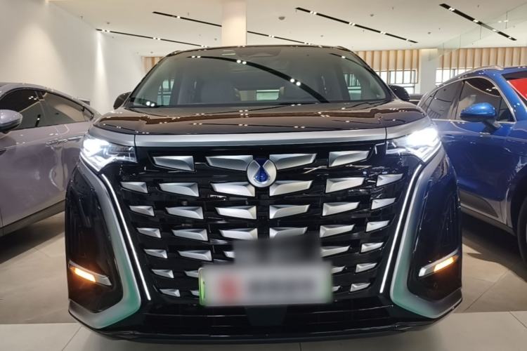Used Denza D9 2024 DM-i 980 Four-Wheel Drive Prestige Model Front
