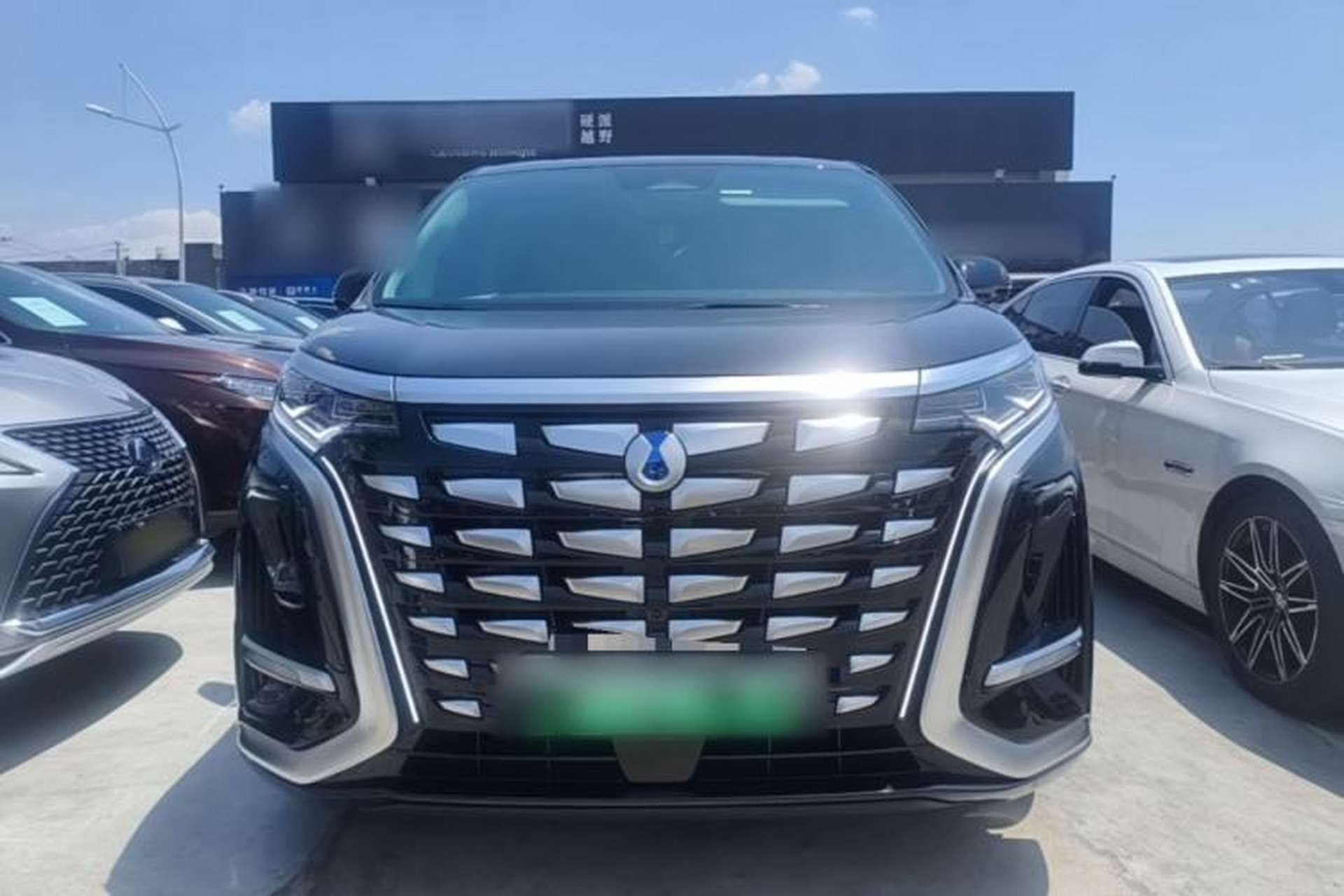Used Denza D9 2024 DM-i 980 Four-Wheel Drive Prestige Model Front