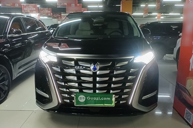 Used Denza D9 2024 DM-i 980 Four-Wheel Drive Prestige Model Front