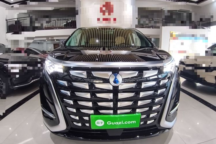 Used Denza D9 2024 DM-i 970 Luxury Model Front