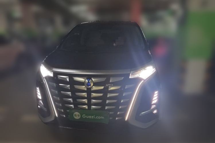 Used Denza D9 2024 DM-i 980 Four-Wheel Drive Prestige Model Front