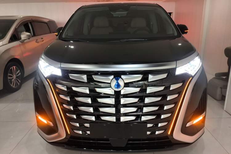 Used Denza D9 2024 DM-i 980 Four-Wheel Drive Prestige Model Front