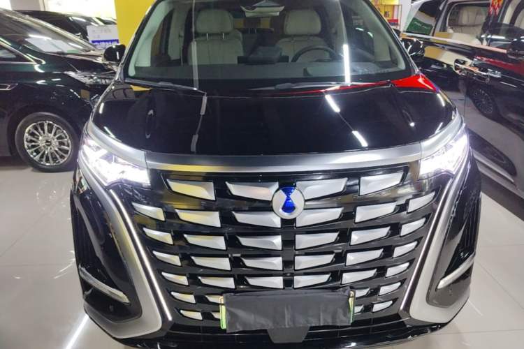 Used Denza D9 2024 DM-i 980 Four-Wheel Drive Prestige Model Front