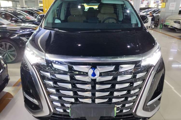 Used Denza D9 2024 DM-i 980 Four-Wheel Drive Prestige Model Front
