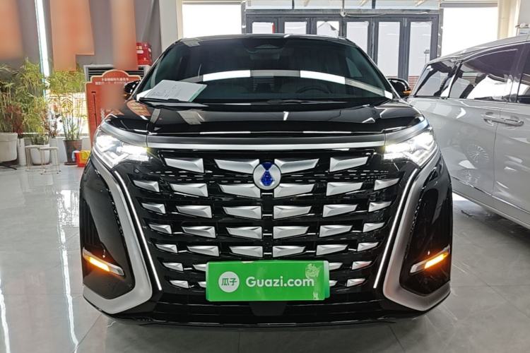 Used Denza D9 2024 DM-i 980 Four-Wheel Drive Prestige Model Front