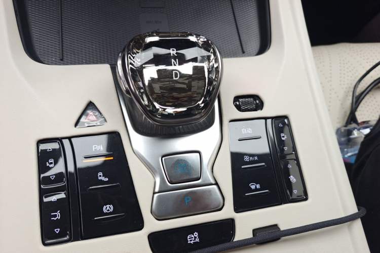 Used Denza D9 2024 DM-i 980 Four-Wheel Drive Prestige Model Gear Lever