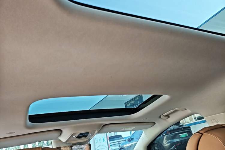 Used Denza D9 2024 DM-i 980 Four-Wheel Drive Prestige Model Headliner