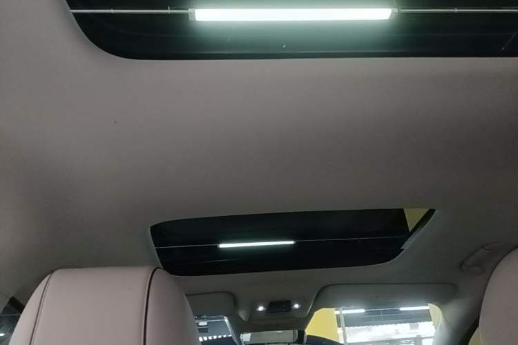 Used Denza D9 2024 EV 620 Premium Model Headliner