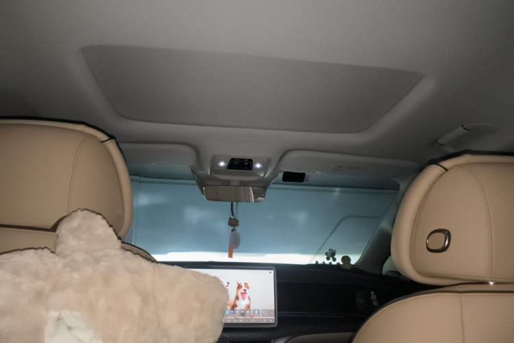 Used Denza D9 2024 DM-i 980 Four-Wheel Drive Prestige Model Headliner