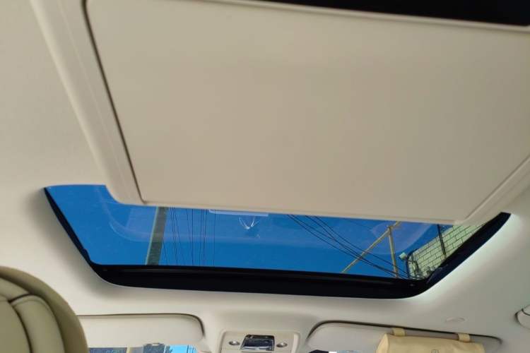 Used Denza D9 2024 DM-i 980 Four-Wheel Drive Prestige Model Headliner