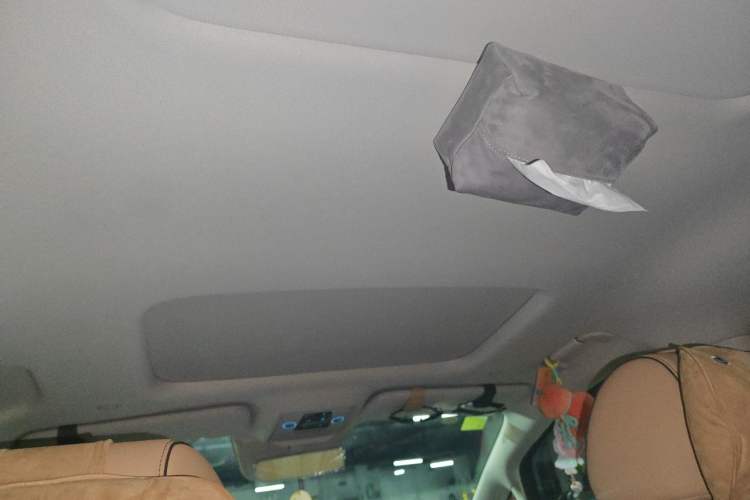 Used Denza D9 2024 DM-i 970 Luxury Model Headliner