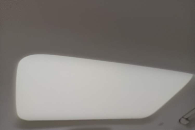 Used Denza D9 2024 DM-i 980 Four-Wheel Drive Prestige Model Headliner