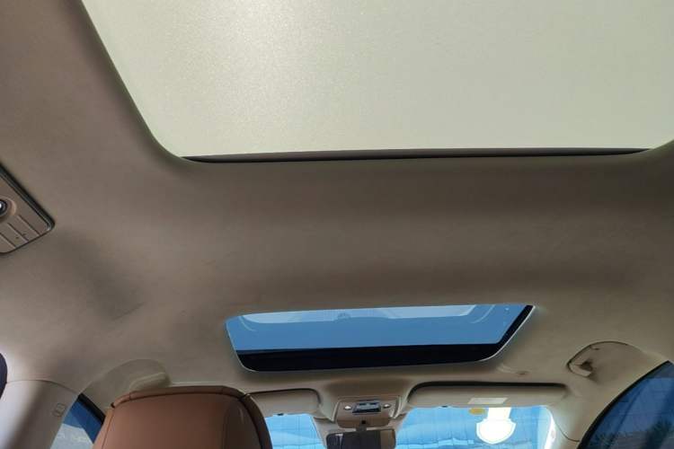 Used Denza D9 2024 DM-i 980 Four-Wheel Drive Flagship Model Headliner