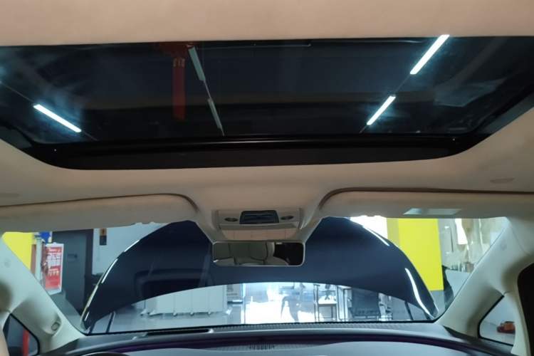 Used Denza D9 2024 DM-i 980 Four-Wheel Drive Flagship Model Headliner