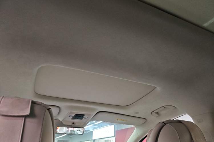Used Denza D9 2024 DM-i 980 Four-Wheel Drive Flagship Model Headliner