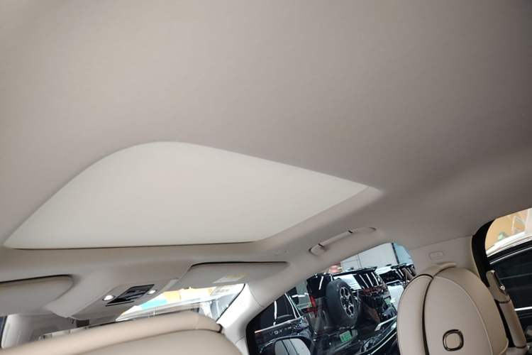 Used Denza D9 2024 DM-i 980 Four-Wheel Drive Prestige Model Headliner