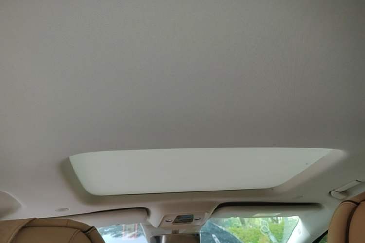 Used Denza D9 2024 DM-i 980 Four-Wheel Drive Prestige Model Headliner