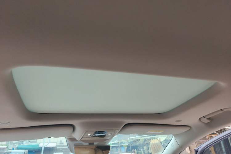 Used Denza D9 2024 DM-i 1050 Luxury Model Headliner