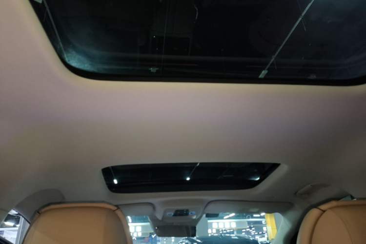 Used Denza D9 2024 DM-i 980 Four-Wheel Drive Prestige Model Headliner
