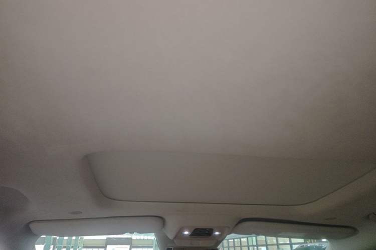 Used Denza D9 2024 EV 600 Four-Wheel-Drive Flagship Model Headliner