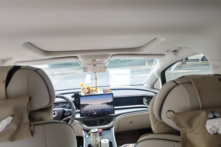 Used Denza D9 2024 DM-i 1050 Luxury Model Headliner