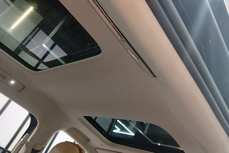 Used Denza D9 2024 DM-i 980 Four-Wheel Drive Prestige Model Headliner