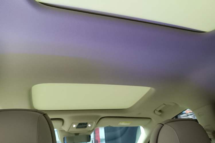 Used Denza D9 2024 DM-i 980 Four-Wheel Drive Prestige Model Headliner